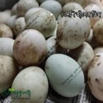 Desi Duck Egg I দেশি হাঁসের ডিম - 12p (Box) - Image 2